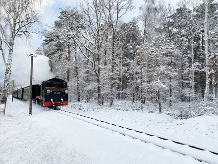 Rasender Roland im Winter