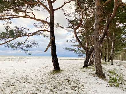 Baaber Strand mit Schneedecke