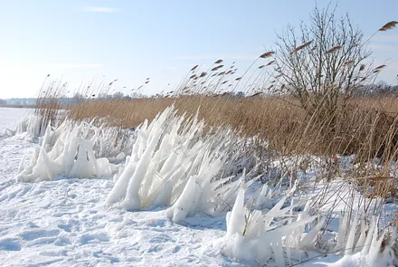 Ahrenshoop ist zu jeder Jahreszeit eine Reise wert!