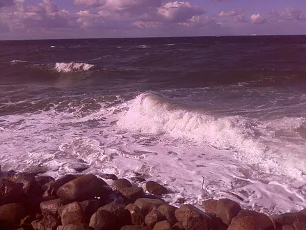 Herrliche, naturbelassene Ostsee