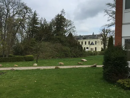 Der Gutspark mit GINKGO-Baum