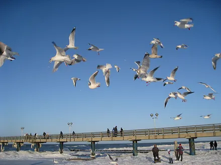 Seebrücke im Winter