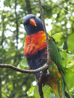 Ausflugsziel Vogelpark Marlow