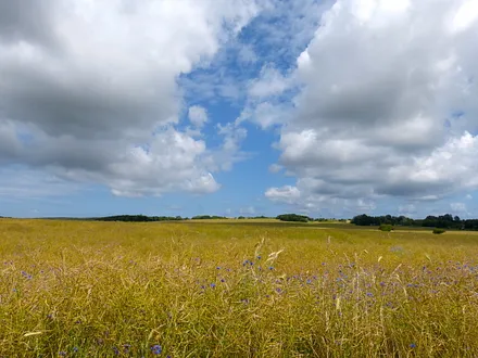 Auch das Innere der Insel ist wunderschön
