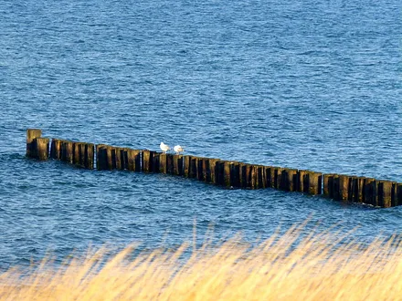 Das Meer- einmalig schön