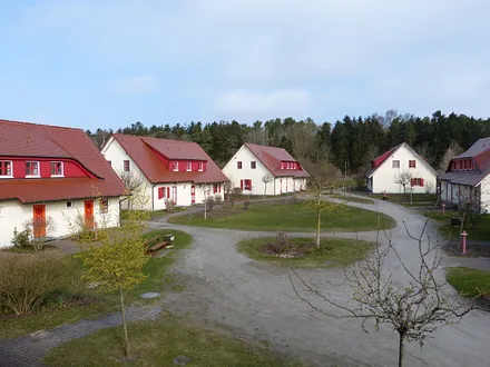 Blick aus dem Schlafzimmerfenster, hinter dem Kiefernwald liegt das Meer