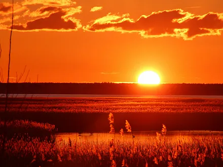 Boddenlandschaft am Ortsrand