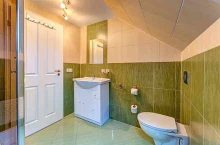 Bad mit Dusche/WC, Fön und Fenster