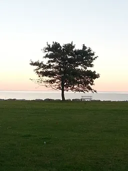 ein Plätzchen zum Verweilen