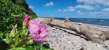 In wenigen Minuten am Meer