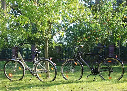 Mietfahrräder