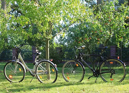 Mietfahrräder