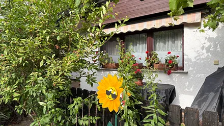 Blick auf die Fewo mit Terasse