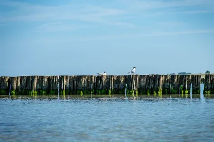 Buhnen am Strand