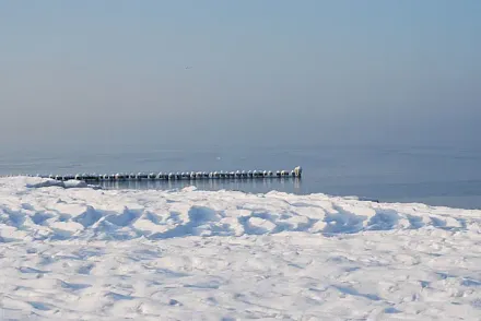Ostsee in Dierhagen - Ost im Winter
