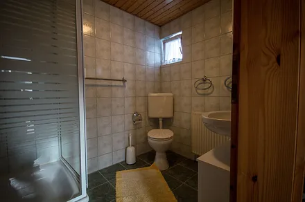 Blick ins Bad (mit Dusche und WC)