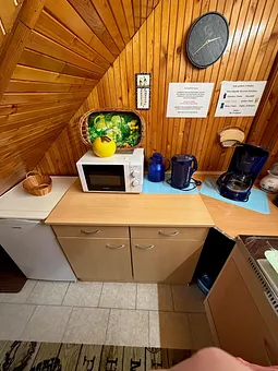 Küche linke Seite mit Kühlschrank incl. kleinem Eisfach