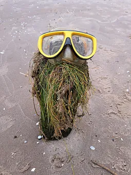 Übrigen, aus diesen Ideen ist der Name "Strandgut" entstanden...