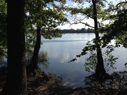  Grosser Krebssee in näherer Umgebung