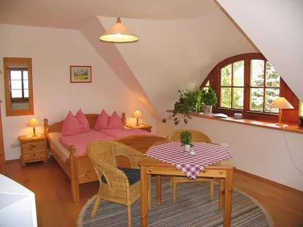 Töpperhus App.03 1-Zimmer-App. mit Miniküche und Bad /Boddenblick 