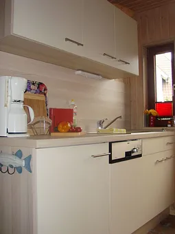 Küche mit Geschirrspüler