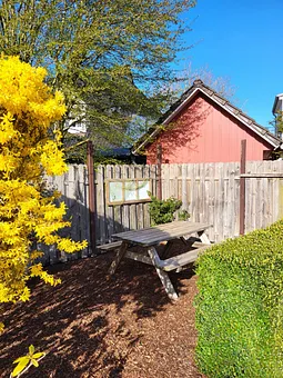 Grillecke im Grünen