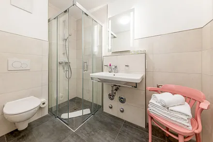 Das Bad mit Dusche, WC und Fön.