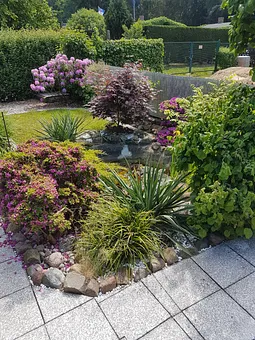 Blick von der Terasse auf den wunderschönen naturbelassenen Gartenteich mit seiner Artemberaubenen Tiervielfalt.