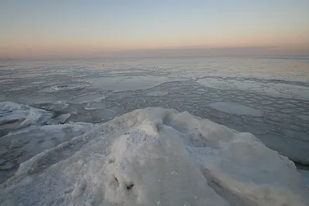 Zugefroren bis zum Horizont - 2011