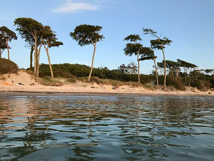 Der urwüchsige Weststrand