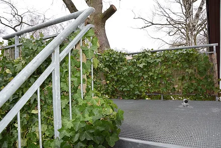 "Vogelnest"..der Landeplatz ;-)