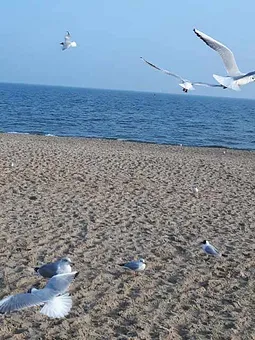 Stimmung
