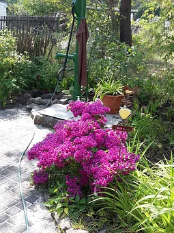 Garten unten mit Pumpe