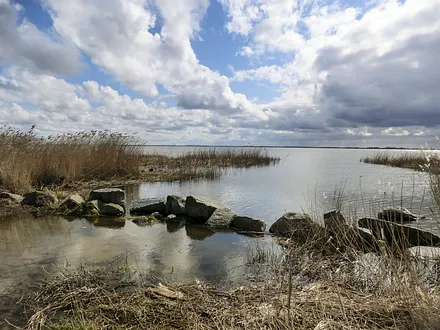 Achterwasser bei Zempin