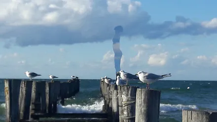 Horizonte Fotofestival in Zingst