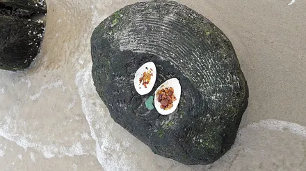 Und wenn man ganz großes Glück hat, Bernstein finden.