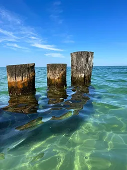 Oder einfach nur klar sehen ...