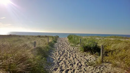 Der Weg zum Dierhagener Strand