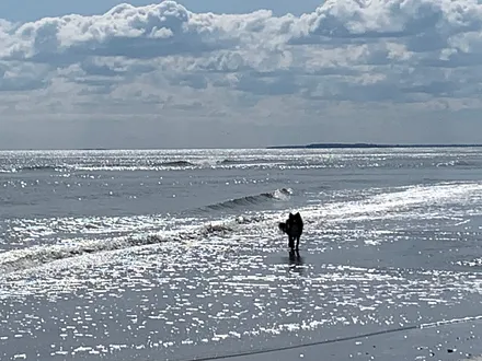 Hunde sind bei uns ebenfalls Willkommen!
