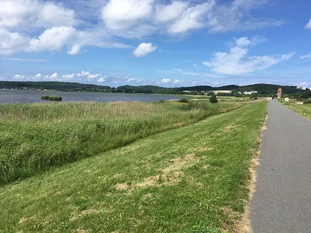 Baaber Deich und Selliner See- hier können Sie mit dem Hund spazieren 