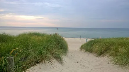 Der Weg zum schönen Dierhagener Strand
