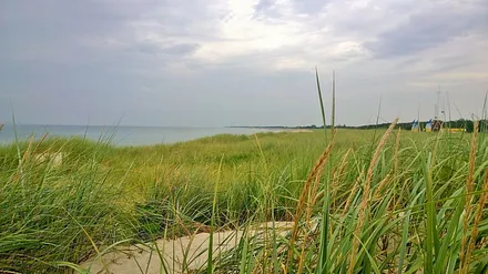 Dünenlandschaft am Dierhagener Strand