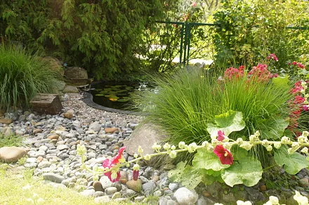 Teich vor der Wohnung Kormoran