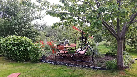 Naschgarten im hinteren Grundstücksbereich