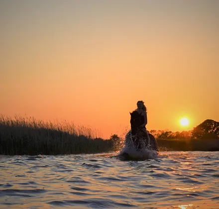 Wir bieten große Paddocks und Boxen für Gastpferde.