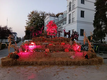 Event "De Harvst " in Zingst