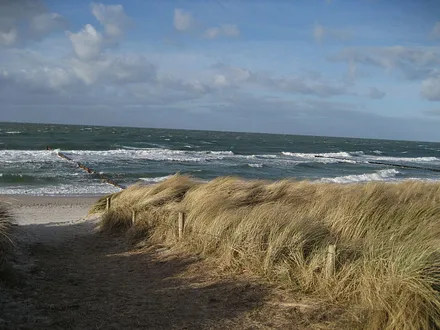 Das ist unser Übergang zum Strand,den man wunderbar morgens am Frühstückstisch genießen kann.
