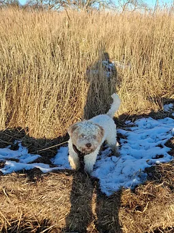 Im Darss Wald unterwegs u immer wieder schön 