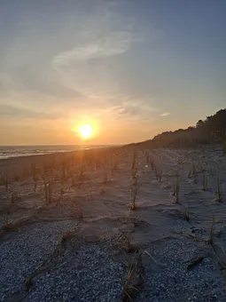 Sonnenschein pur und das in den frühen Morgenstunden 