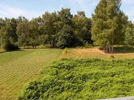 Ausblick vom Balkon ins Naturschutzgebiet